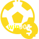 Aposte em esportes do mundo todo no win905!